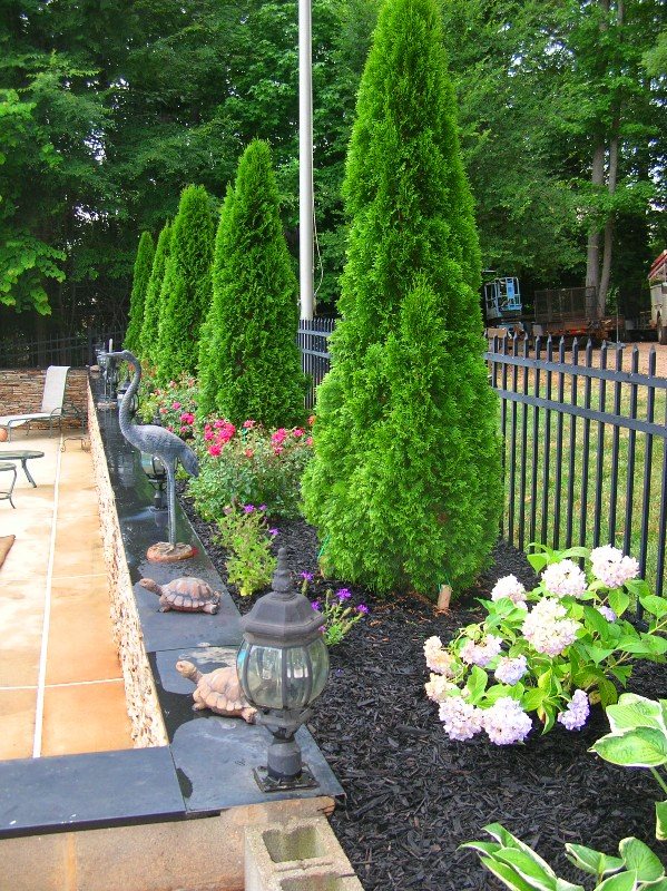 Read more about the article Fertilizing Trees and Shrubs