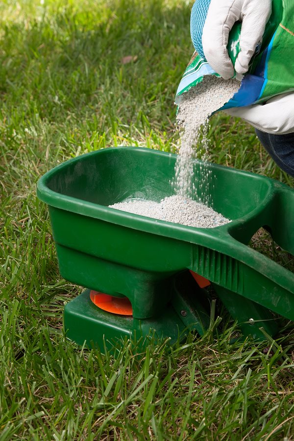 Read more about the article When to apply spring fertilizer