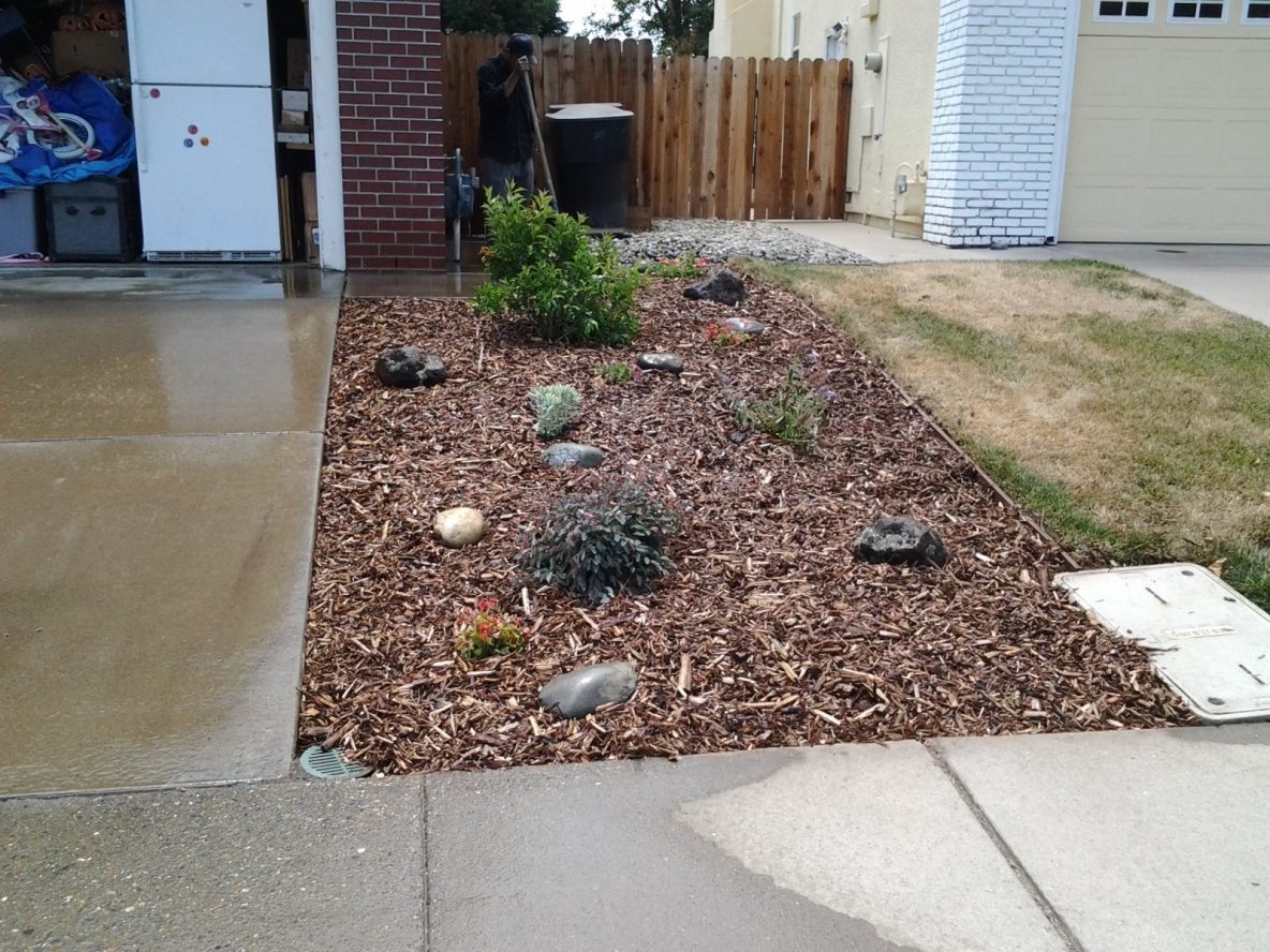 Xeriscaping Benefits Cascade Gardens